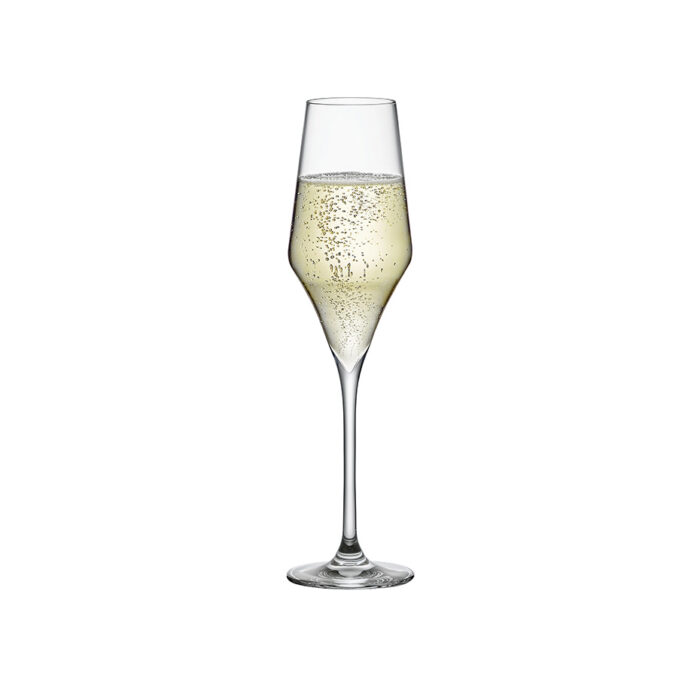 CHAMPAGNE GLASSES (Set of 6)